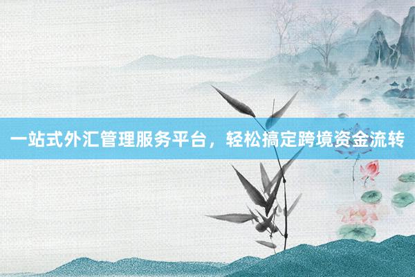 一站式外汇管理服务平台，轻松搞定跨境资金流转