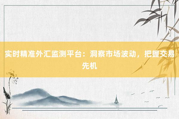 实时精准外汇监测平台：洞察市场波动，把握交易先机