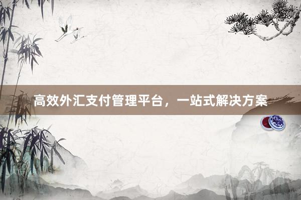 高效外汇支付管理平台，一站式解决方案