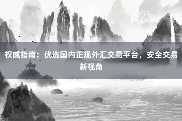 权威指南：优选国内正规外汇交易平台，安全交易新视角