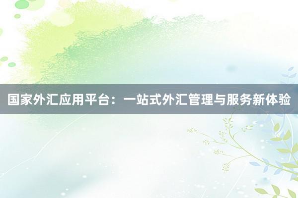 国家外汇应用平台：一站式外汇管理与服务新体验